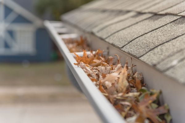 Leaf Barrier Installation in Goldsboro